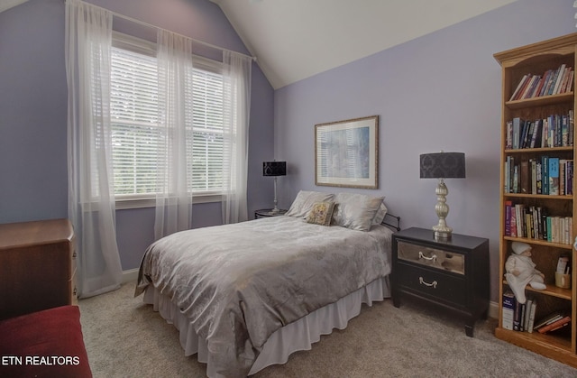 241 W Shore Dr, Rockwood, TN 37854 - photo 39