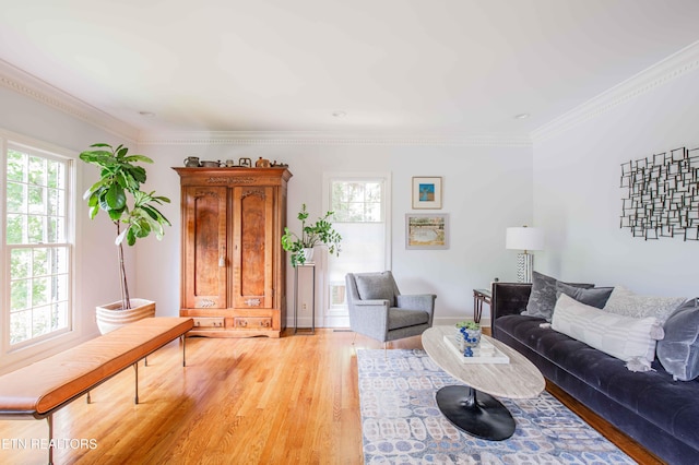 129 Whippoorwill Dr, Oak Ridge, TN 37830 - living area with wood finished floors and crown molding