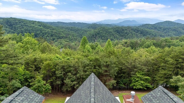 1949 E Mountain View Way, Sevierville, TN 37876 - view of mountain background with a forest