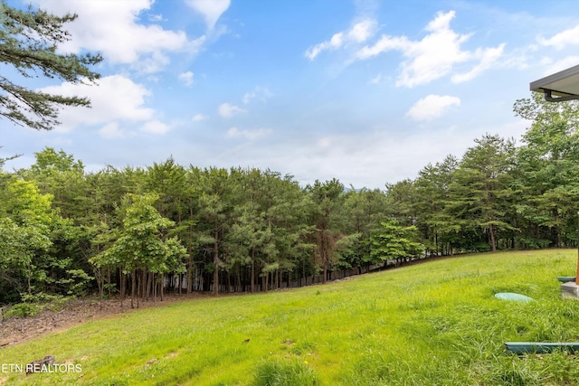 1949 E Mountain View Way, Sevierville, TN 37876 - view of yard with a view of trees