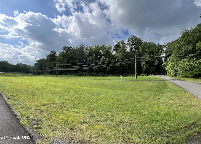 E Lamar Alexander Pkwy, Townsend, TN 37882