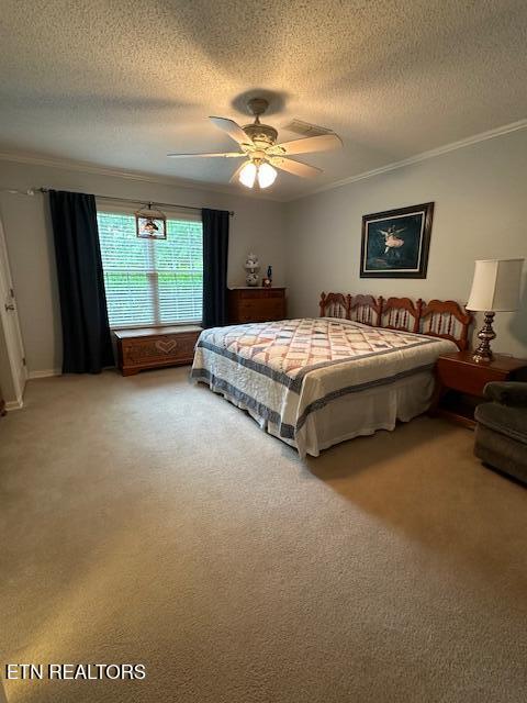 5230 Brig Ln, Knoxville, TN 37914 - bedroom featuring crown molding, a textured ceiling, light carpet, and a ceiling fan