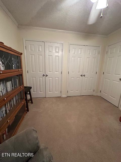 5230 Brig Ln, Knoxville, TN 37914 - sitting room with carpet floors, ornamental molding, and a textured ceiling