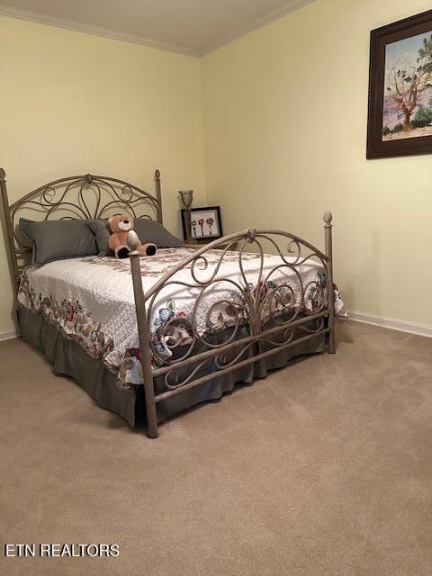 5230 Brig Ln, Knoxville, TN 37914 - bedroom with carpet, baseboards, and ornamental molding