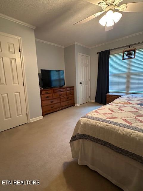 5230 Brig Ln, Knoxville, TN 37914 - bedroom with crown molding, baseboards, carpet, a ceiling fan, and a textured ceiling