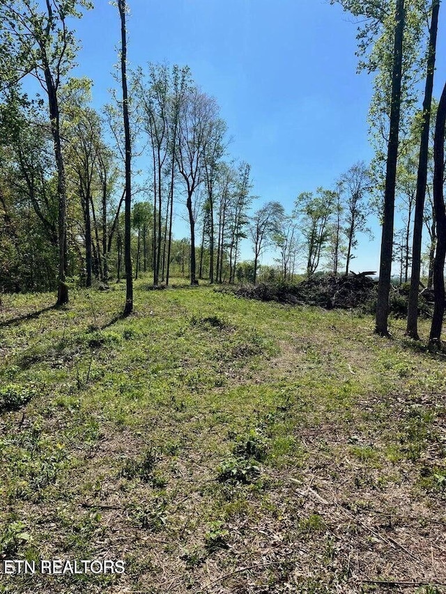 TRACT1 Mill Creek Rd, Andersonville, TN 37705