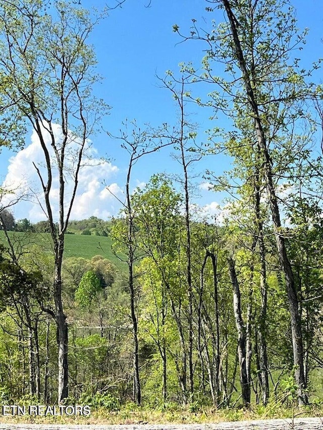 TRACT1 Mill Creek Rd, Andersonville, TN 37705