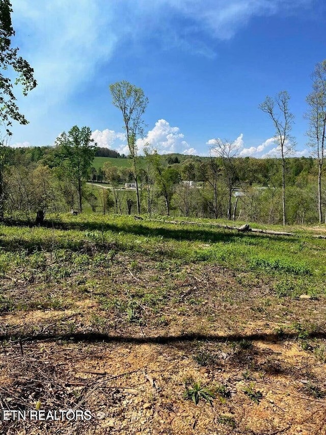 TRACT1 Mill Creek Rd, Andersonville, TN 37705