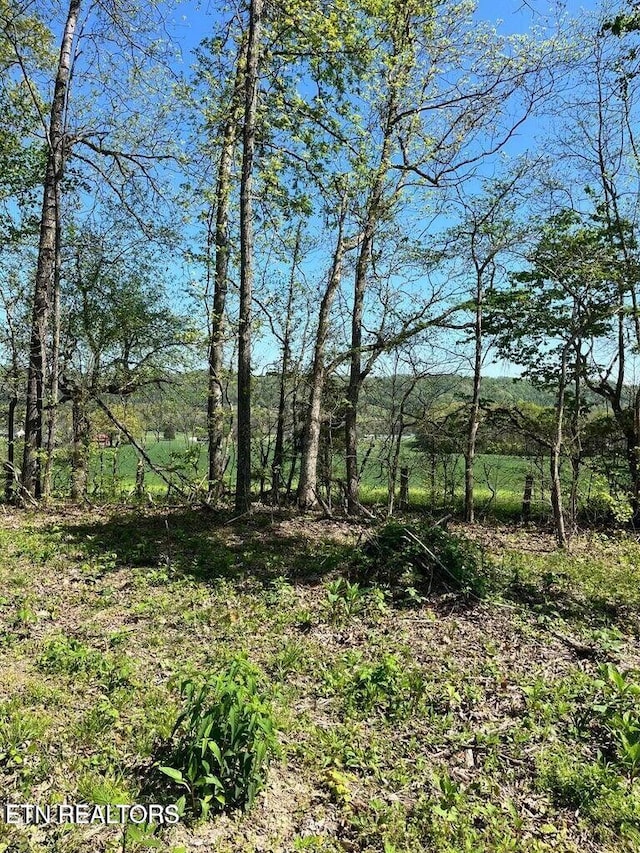 TRACT1 Mill Creek Rd, Andersonville, TN 37705
