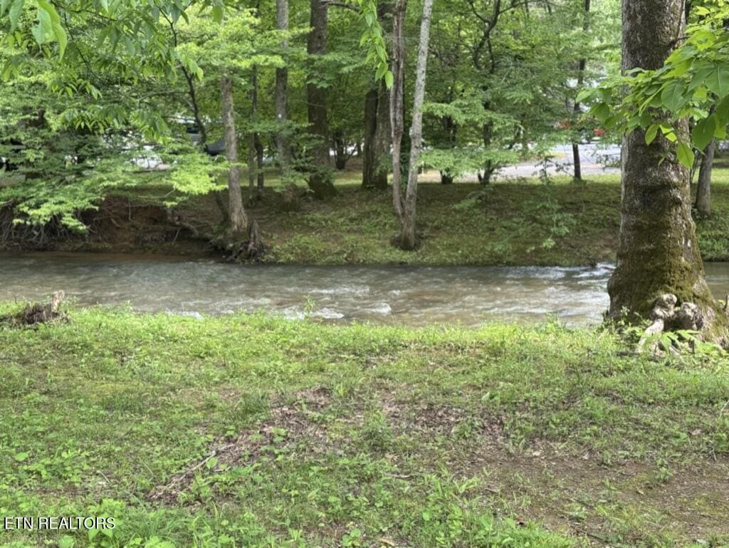 2032 Slippery Rock Cir, Pigeon Forge, TN 37862 - view of yard