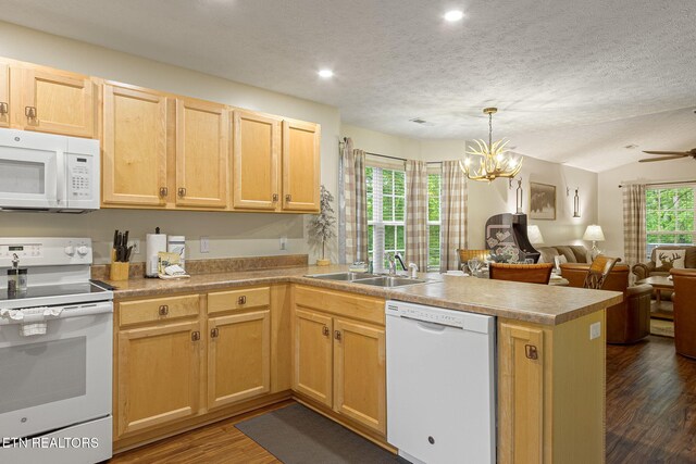 2032 Slippery Rock Cir, Pigeon Forge, TN 37862 - kitchen with white appliances, a peninsula, open floor plan, dark wood-type flooring, and light brown cabinets