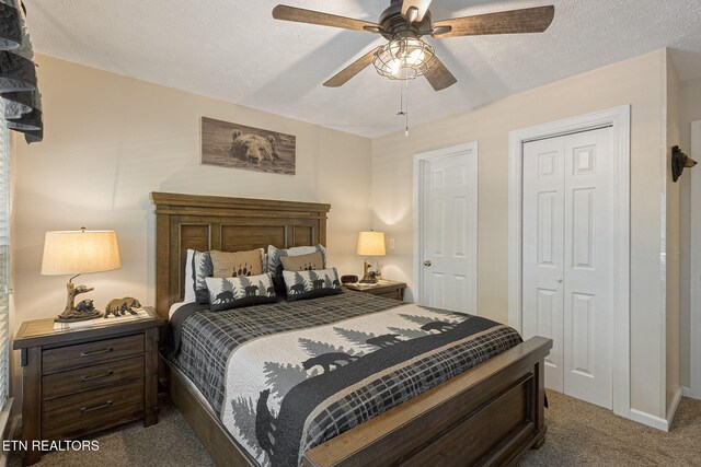 2032 Slippery Rock Cir, Pigeon Forge, TN 37862 - bedroom featuring carpet, a ceiling fan, a closet, and baseboards