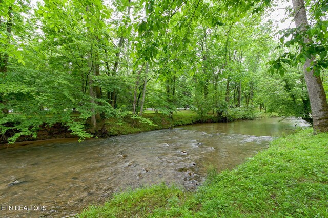 2032 Slippery Rock Cir, Pigeon Forge, TN 37862 - water view