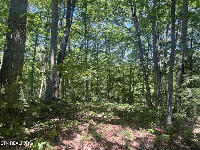 33 Camden Ct, Fairfield Glade, TN 38558
