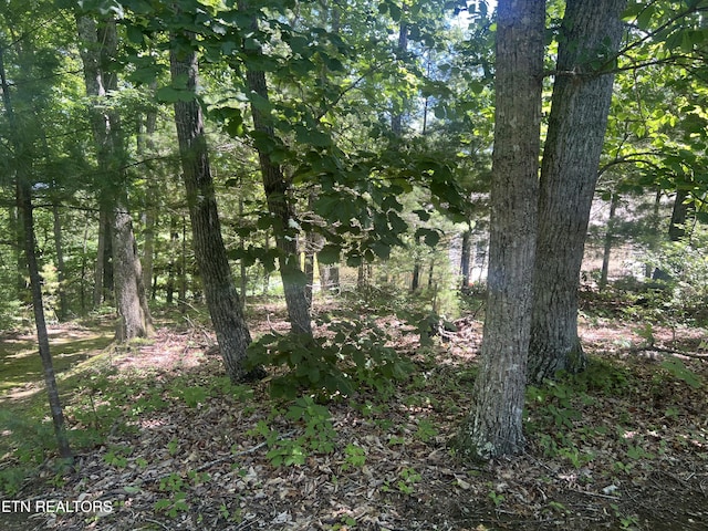 33 Camden Ct, Fairfield Glade, TN 38558