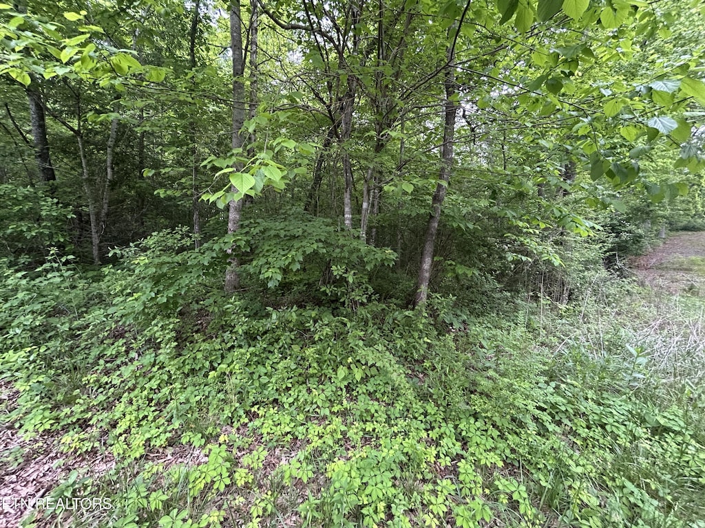 Hensley Rd, Jamestown, TN 38556