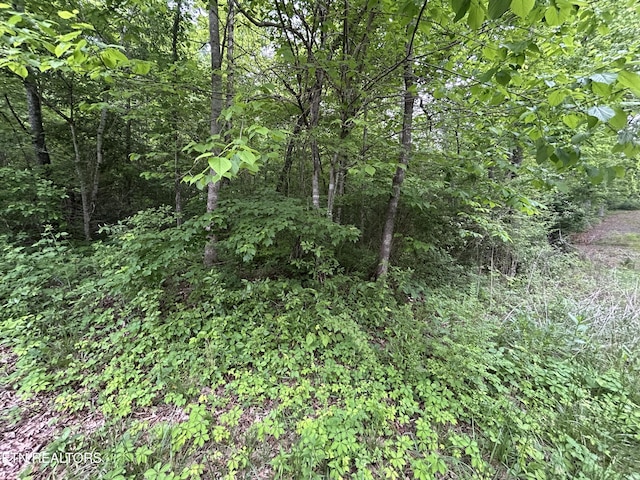 Hensley Rd, Jamestown, TN 38556