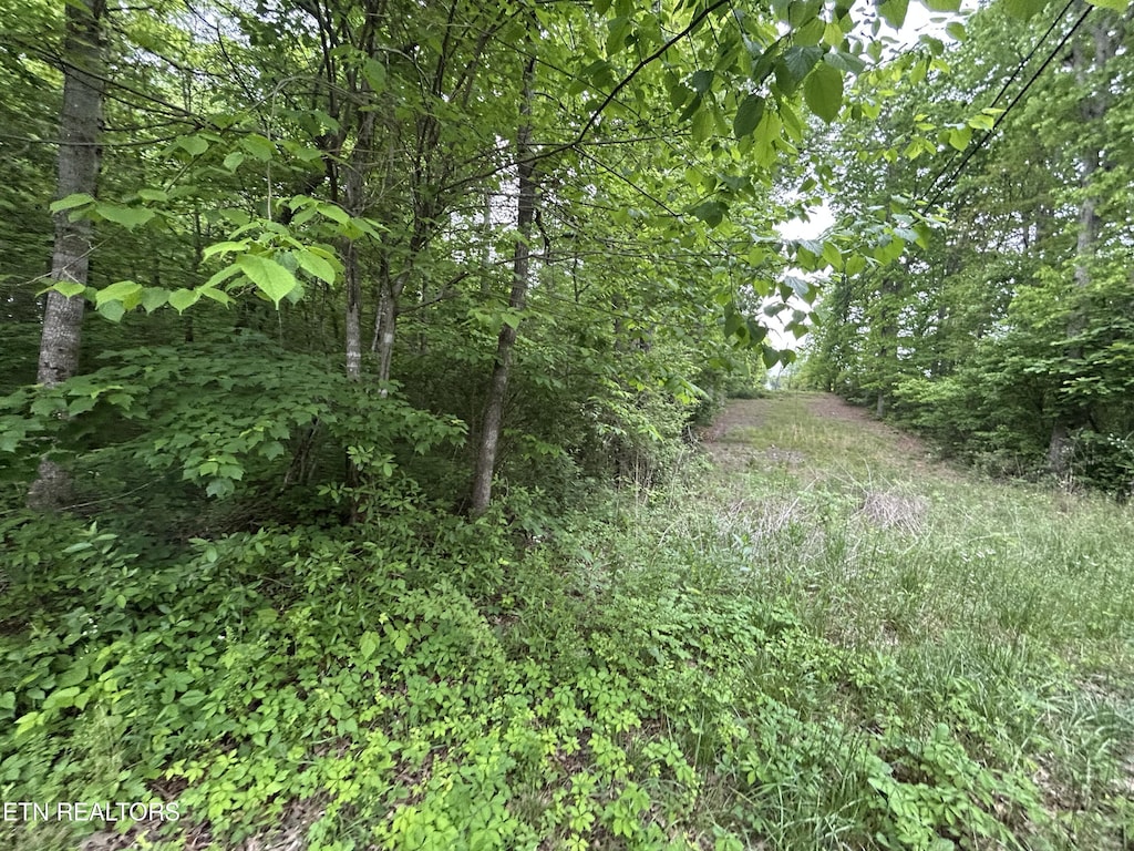Hensley Rd, Jamestown, TN 38556