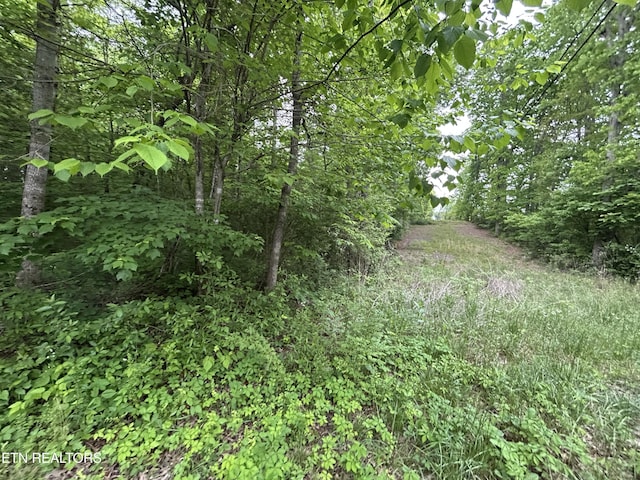 Hensley Rd, Jamestown, TN 38556
