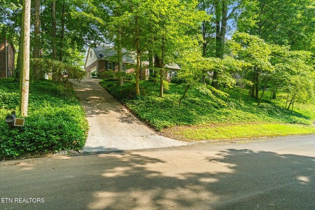 2812 Century Dr, Maryville, TN 37803 - photo 41