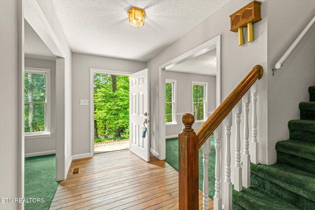 2812 Century Dr, Maryville, TN 37803 - photo 6