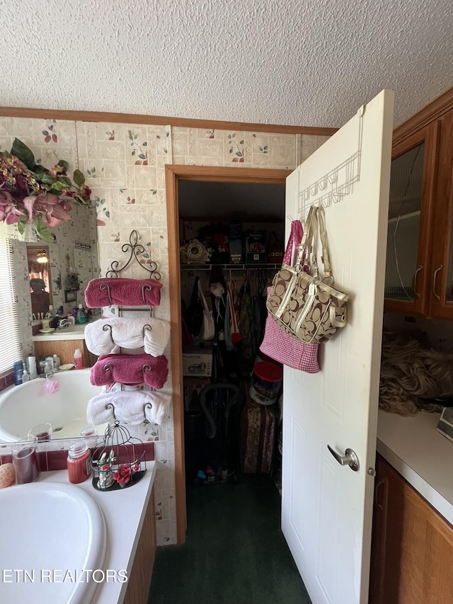130 New Light Cir, Winfield, TN 37892 - bathroom with a textured ceiling, vanity, a spacious closet, and wallpapered walls
