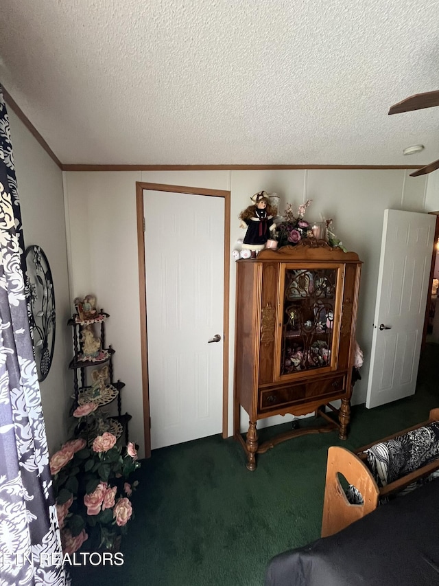 130 New Light Cir, Winfield, TN 37892 - living area with carpet floors, crown molding, a textured ceiling, and a ceiling fan
