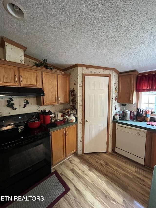 130 New Light Cir, Winfield, TN 37892 - kitchen with black / electric stove, white dishwasher, under cabinet range hood, a textured ceiling, and ornamental molding