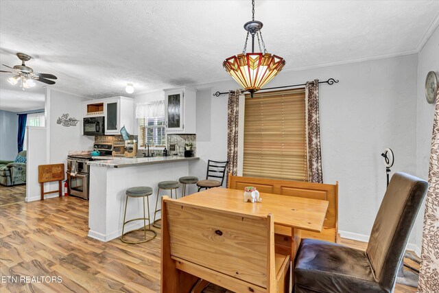501 Park Ave, Clinton, TN 37716 - dining room with wood finished floors, ceiling fan, a textured ceiling, baseboards, and crown molding