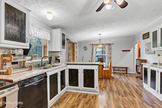 501 Park Ave, Clinton, TN 37716 - kitchen with dishwasher, a sink, healthy amount of natural light, crown molding, and light wood finished floors