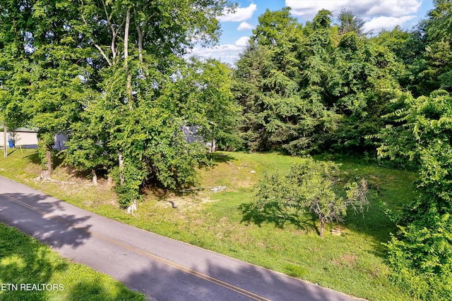 501 Park Ave, Clinton, TN 37716 - view of yard