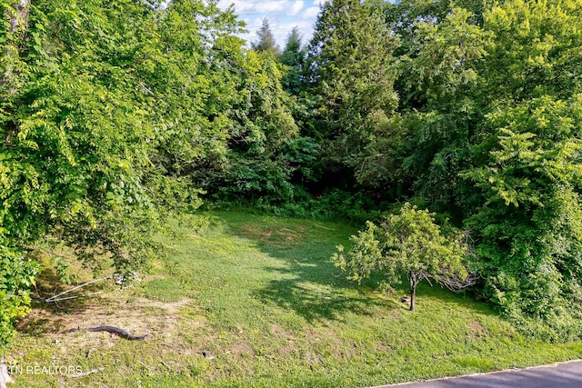 501 Park Ave, Clinton, TN 37716 - view of nature