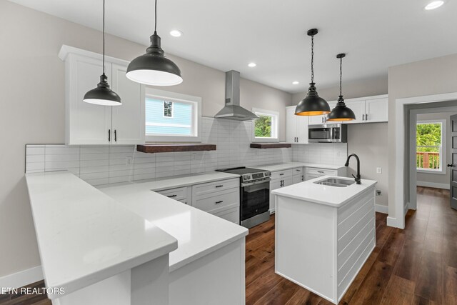 270 W Main St, Dandridge, TN 37725 - kitchen featuring stainless steel appliances, a sink, wall chimney exhaust hood, a peninsula, and decorative backsplash