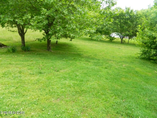 232 Sallings Rd, Luttrell, TN 37779 - view of green lawn