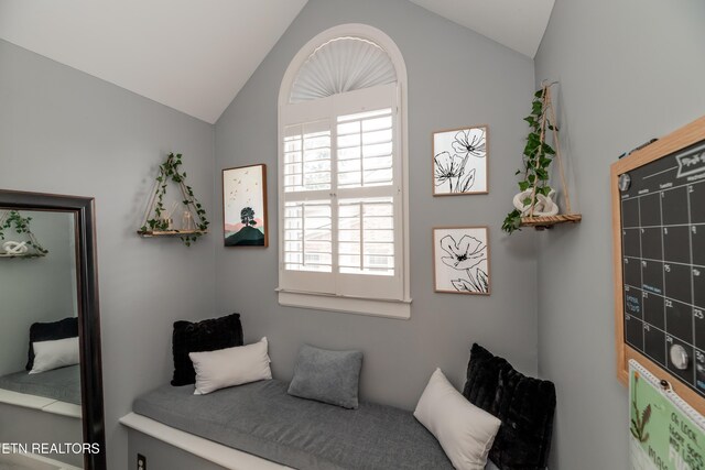 1403 Kenton Way, Knoxville, TN 37922 - living area featuring lofted ceiling