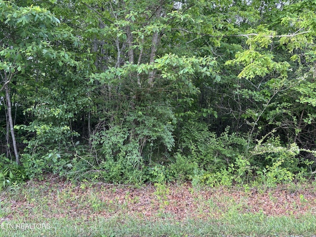 20 Otomi Cir, Crossville, TN 38572 - photo 1