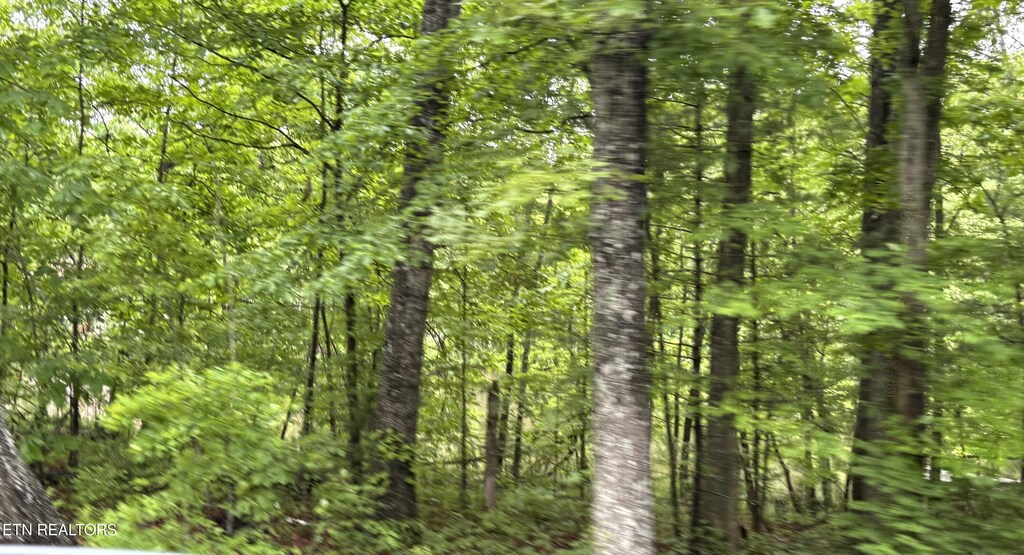 5054 Chinook Ln, Crossville, TN 38572 - photo 1