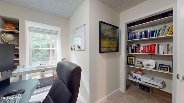 1859 Poplar Hill Rd, Knoxville, TN 37922 - carpeted home office with a textured ceiling and baseboards