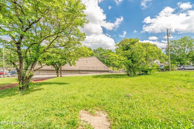 812 W Emerald Ave, Knoxville, TN 37921 - view of yard