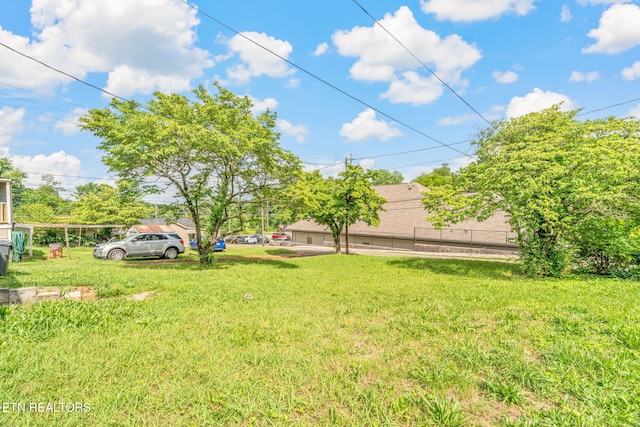 812 W Emerald Ave, Knoxville, TN 37921 - view of yard