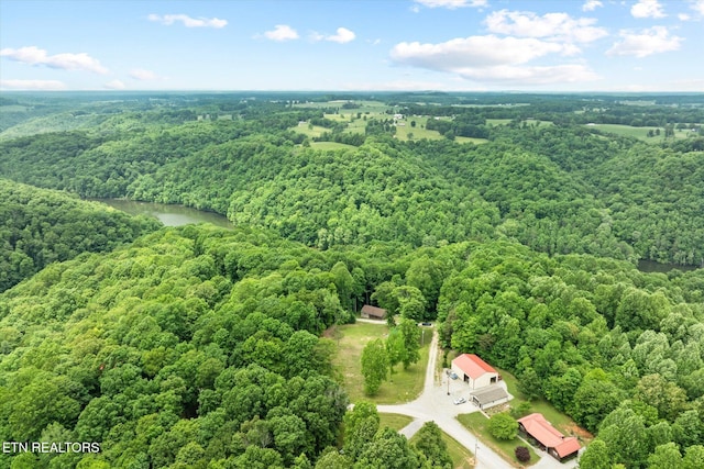 1103 Boles Beaty Rd, Alpine, TN 38543 - bird's eye view of a heavily wooded area and a nearby body of water