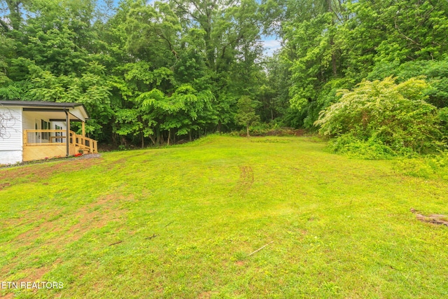 600 N Trinity Ave, Rockwood, TN 37854 - view of grassy yard