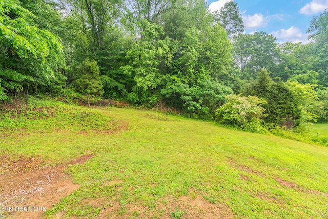 600 N Trinity Ave, Rockwood, TN 37854 - view of green lawn
