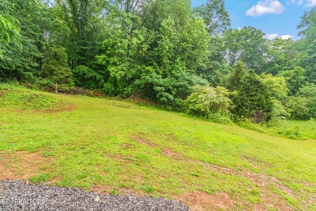 600 N Trinity Ave, Rockwood, TN 37854 - view of grassy yard