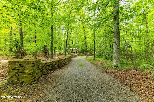 1854 Catusa Rd, Wartburg, TN 37887 - view of property's community with a forest view and dirt driveway