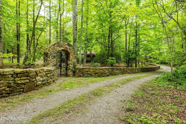 1854 Catusa Rd, Wartburg, TN 37887 - view of road featuring a gate and a forest view