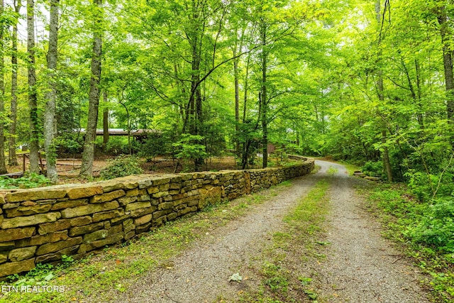 1854 Catusa Rd, Wartburg, TN 37887 - view of street with a wooded view