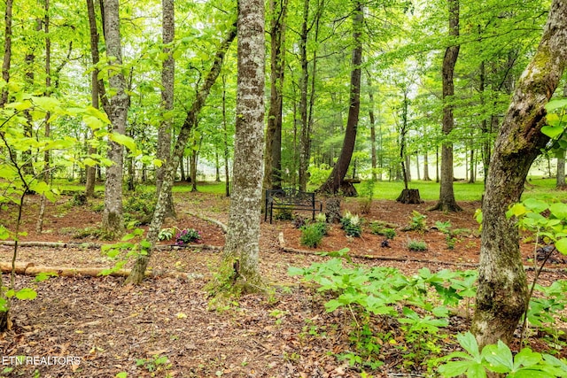 1854 Catusa Rd, Wartburg, TN 37887 - view of local wilderness