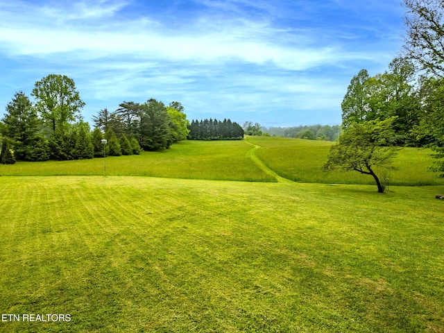 1854 Catusa Rd, Wartburg, TN 37887 - view of grassy yard
