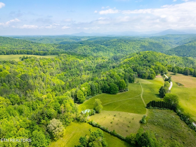 1854 Catusa Rd, Wartburg, TN 37887 - bird's eye view of a heavily wooded area and a mountainous background